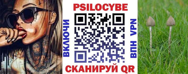 Псилоцибиновые грибы Cubensis  Купить закладки  Давлеканово 